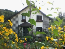 Vila Dumbrava Trandafirilor - alloggio in  Slanic Prahova (01)