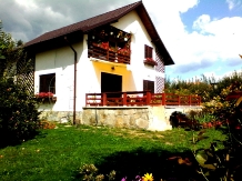 Vila Dumbrava Trandafirilor - cazare Slanic Prahova (04)