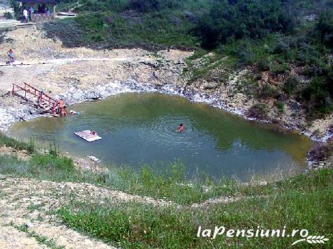 Vila Dumbrava Trandafirilor - accommodation in  Slanic Prahova (Surrounding)