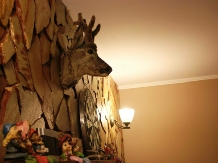 Pensiunea La Padure - accommodation in  Cheia (15)