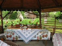Casa din Poiana - accommodation in  Motilor Country, Arieseni (07)