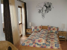 Pensiunea Casa Zmeilor - accommodation in  Fagaras and nearby, Sambata (02)