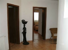 Pensiunea Casa Zmeilor - accommodation in  Fagaras and nearby, Sambata (06)