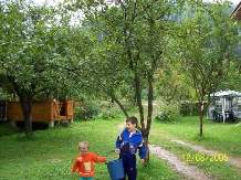 Pensiunea Corina si Cristi - accommodation in  Apuseni Mountains, Motilor Country, Arieseni (13)