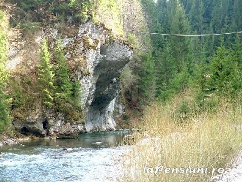 Pensiunea Corina si Cristi - accommodation in  Apuseni Mountains, Motilor Country, Arieseni (Surrounding)