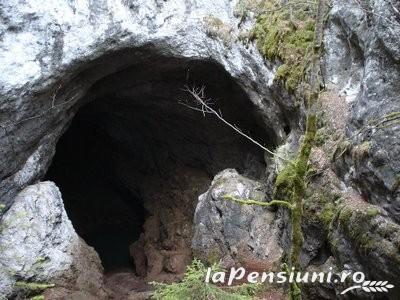 Pensiunea Sofia - accommodation in Apuseni Mountains, Motilor Country, Arieseni (Surrounding) Pensiunea Sofia - accommodation in Apuseni Mountains, Motilor Country, Arieseni (Surrounding)