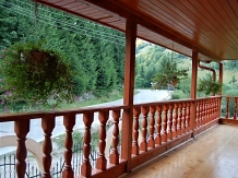 Pensiunea Motilor - accommodation in  Apuseni Mountains, Motilor Country, Arieseni (15)