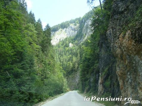 Cabana Cotul Ariesului - accommodation in  Apuseni Mountains, Motilor Country, Arieseni (Surrounding)