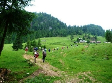 Pensiunea Scarisoara - accommodation in  Apuseni Mountains, Motilor Country, Arieseni (12)