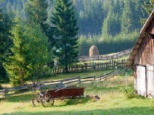 Pensiunea Scarisoara - accommodation in  Apuseni Mountains, Motilor Country, Arieseni (23)