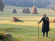 Pensiunea Scarisoara - accommodation in  Apuseni Mountains, Motilor Country, Arieseni (25)