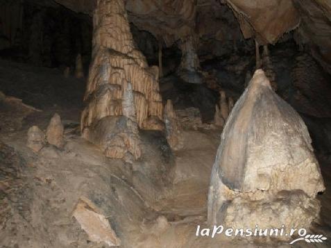 Pensiunea Scarisoara - alloggio in  Apuseni, Tara Motilor, Arieseni (Attivit&agrave; e i dintorni)