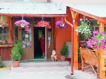 Pensiunea Mama Uta - accommodation in  Apuseni Mountains, Motilor Country, Arieseni (02)