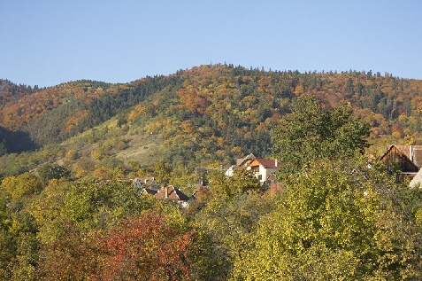 Casa din Vale - accommodation in  Sibiu Surroundings (Surrounding)
