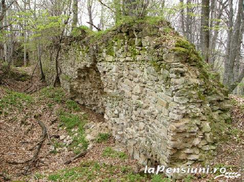 Pensiunea Luca Ioan - accommodation in  Sibiu Surroundings (Surrounding)