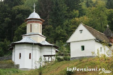 Pensiunea Luca Ioan - accommodation in  Sibiu Surroundings (Surrounding)
