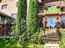 Pensiunea Piscul Soarelui - accommodation in  Muscelului Country (16)