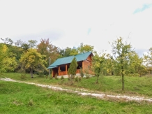 Pensiunea Piscul Soarelui - accommodation in  Muscelului Country (31)