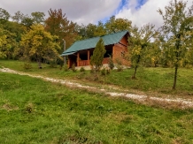 Pensiunea Piscul Soarelui - accommodation in  Muscelului Country (33)