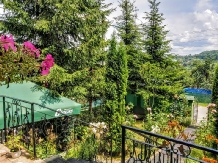 Pensiunea Piscul Soarelui - accommodation in  Muscelului Country (38)