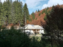 Pensiunea Pietricica - accommodation in  Piatra Craiului (03)