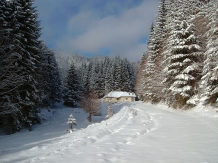 Pensiunea Pietricica - alloggio in  Piatra Craiului (06)