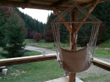 Pensiunea Pietricica - accommodation in  Piatra Craiului (42)