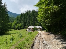 Pensiunea Pietricica - accommodation in  Piatra Craiului (47)