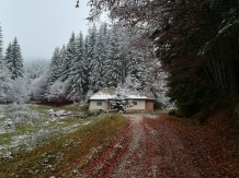 Pensiunea Pietricica - alloggio in  Piatra Craiului (52)