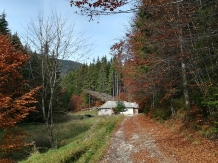 Pensiunea Pietricica - alloggio in  Piatra Craiului (55)