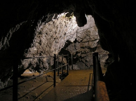 Pensiunea Pietricica - alloggio in Piatra Craiului (Attività e i dintorni) Pensiunea Pietricica - alloggio in Piatra Craiului (Attività e i dintorni)