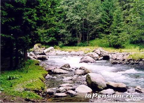 Pensiunea Maria - accommodation in  Sibiu Surroundings (Surrounding)