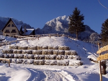 Pensiunea Taverna Pietrei Craiului - alloggio in  Rucar - Bran, Piatra Craiului, Rasnov (02)