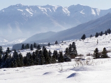 Pensiunea Taverna Pietrei Craiului - alloggio in  Rucar - Bran, Piatra Craiului, Rasnov (03)