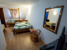 Pensiunea Viorica Arieseni - accommodation in  Apuseni Mountains, Motilor Country, Arieseni (25)