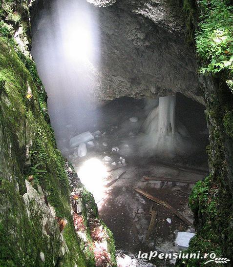 Pensiunea Viorica Arieseni - accommodation in  Apuseni Mountains, Motilor Country, Arieseni (Surrounding)