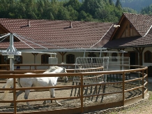 Pensiunea Popasul Craiului - alloggio in  Rucar - Bran, Piatra Craiului, Rasnov (03)