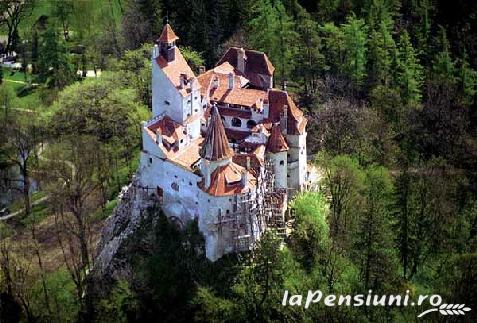 Pensiunea Popasul Craiului - alloggio in  Rucar - Bran, Piatra Craiului, Rasnov (Attivit&agrave; e i dintorni)