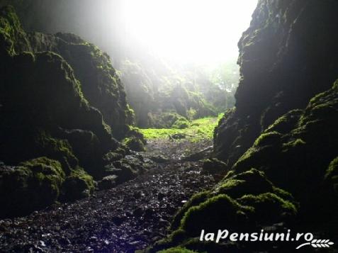 Pensiunea La Vasile - cazare Apuseni, Tara Motilor, Arieseni (Activitati si imprejurimi) Pensiunea La Vasile - cazare Apuseni, Tara Motilor, Arieseni (Activitati si imprejurimi)