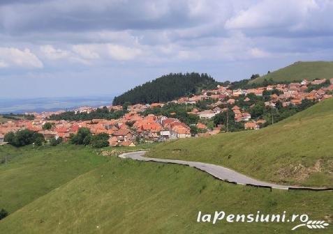 Pensiunea Bilcu House - alloggio in  Dintorni di Sibiu, Transalpina (Attivit&agrave; e i dintorni)