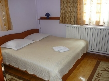 Pensiunea Alina - accommodation in  Brasov Depression (15)