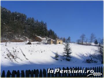 Pensiunea Alina - accommodation in  Brasov Depression (Surrounding)