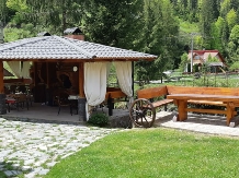 Pensiunea Sofy - accommodation in  Apuseni Mountains, Motilor Country, Arieseni (04)
