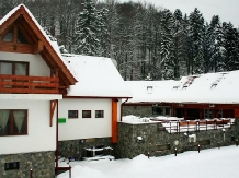 Pensiunea Green Park - accommodation in  Brasov Depression (08)