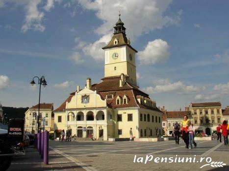 Pensiunea Green Park - accommodation in  Brasov Depression (Surrounding)