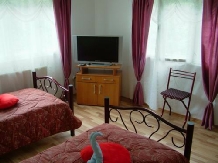 Cabana Viselor - accommodation in  Apuseni Mountains, Motilor Country, Arieseni (13)