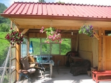 Cabana Sadurel - accommodation in  Sibiu Surroundings (11)