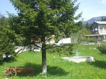 Vila General Mincu - accommodation in  Brasov Depression (02)