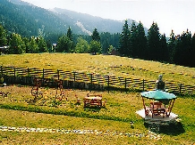 Pensiunea Limor - accommodation in  Brasov Depression (06)