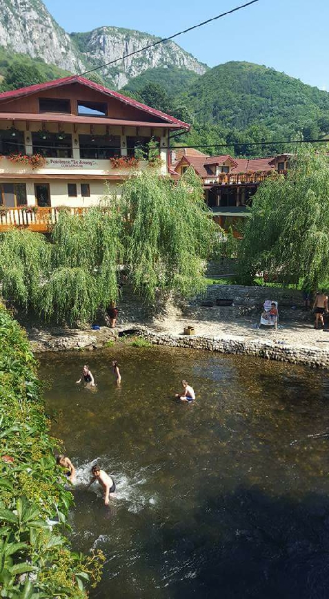 Pensiunea Cuibul Viselor - accommodation in  Cernei Valley, Herculane (Surrounding)